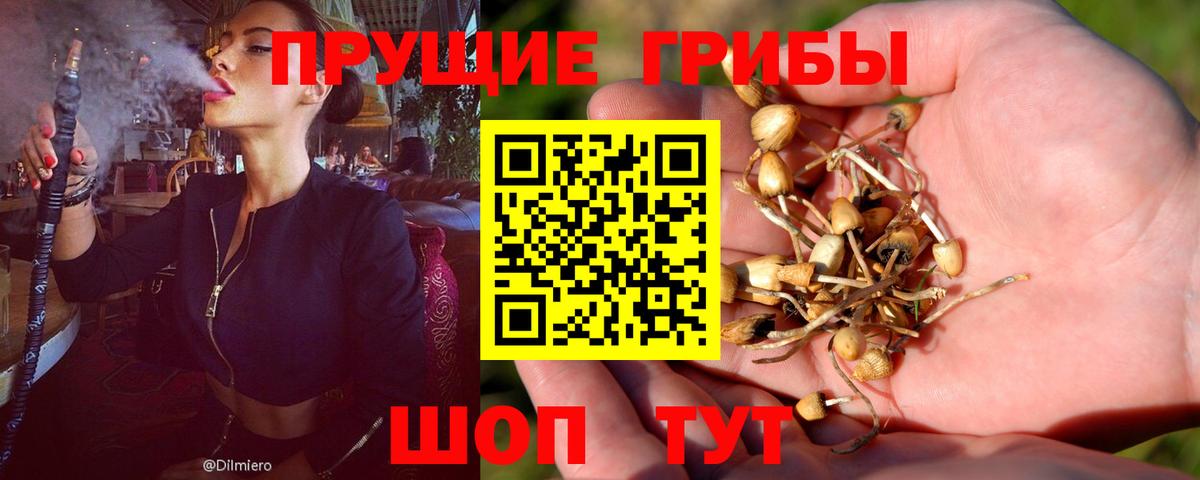 Галлюциногенные грибы прущие грибы  купить наркоту  Аксай  Вход с VPN 